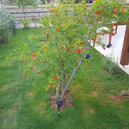 Pleasant House Surrounded By Calming Nature In Lovely Daire *